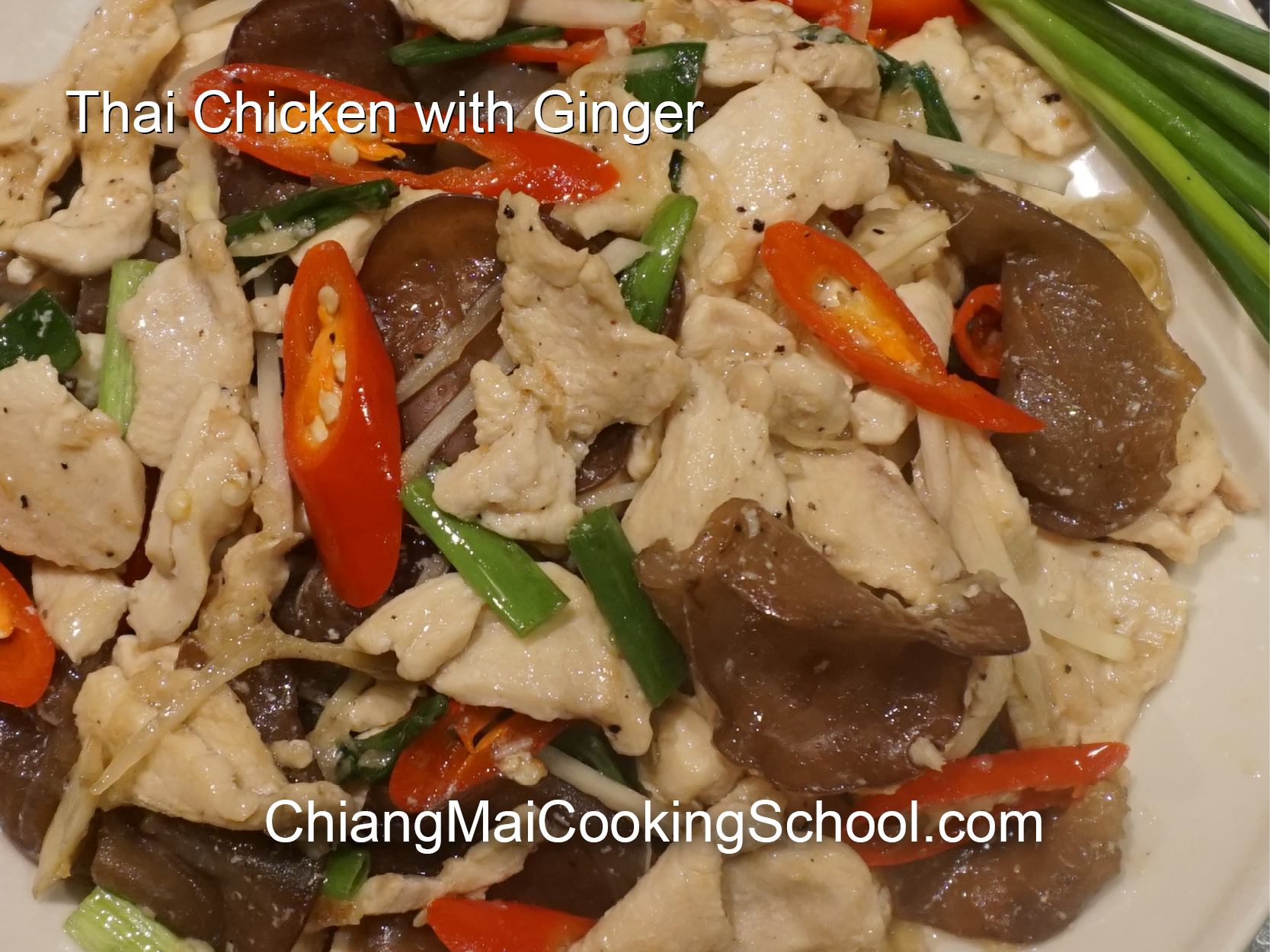 Delicious Ginger with Chicken from Chiang Mai Cooking School